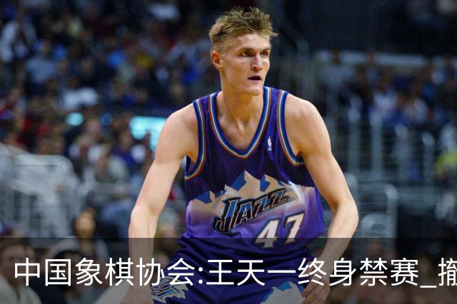 中国象棋协会:王天一终身禁赛 撤销特大等称号